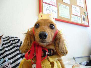 オフ会②13.jpg