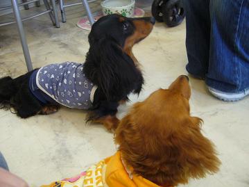 オフ会⑥11.jpg