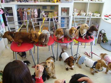 オフ会⑥16.jpg