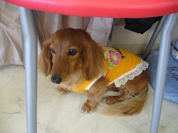 オフ会⑥9.jpg