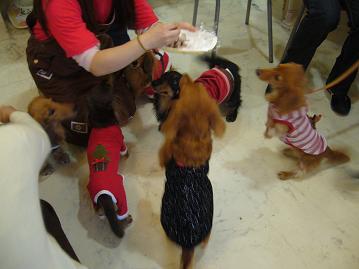 クリスマスオフ会10.jpg