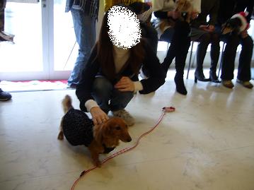 クリスマスオフ会3.jpg