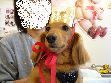 クリスマスオフ会6.jpg