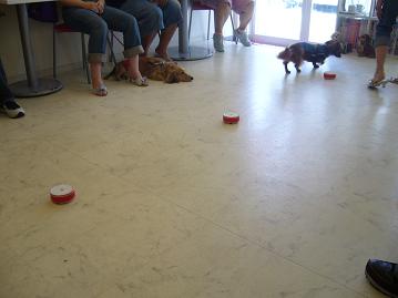サマーオフ会10.jpg