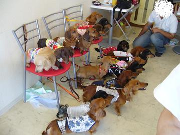 サマーオフ会16.jpg