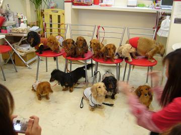 ダックスオフ会18.jpg