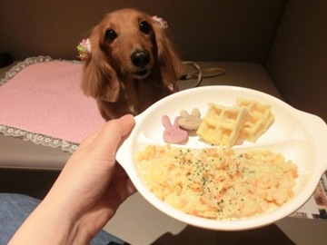 お鼻に1.jpg