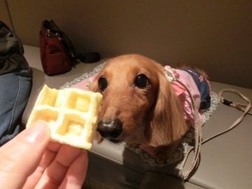お鼻に2.jpg