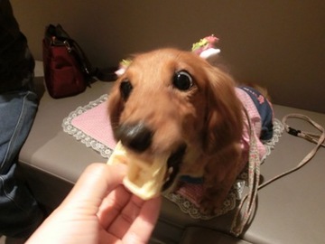 お鼻に3.jpg