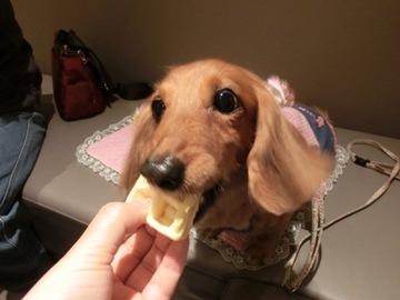 お鼻に4.jpg