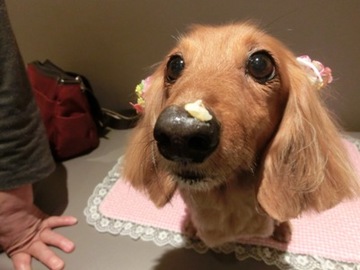 お鼻に6.jpg