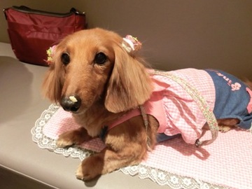 お鼻に7.jpg
