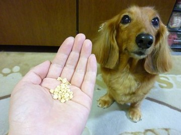 きなこふりかけ2.jpg