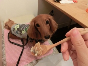 タイヤキ3.jpg