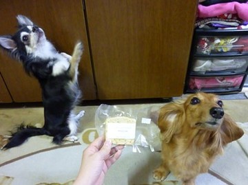 チキンテリーヌ2.jpg
