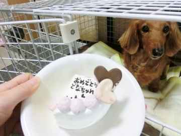 ドナ誕生日会10.jpg