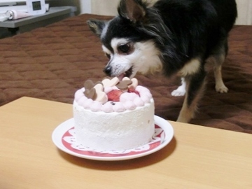 ドナ誕生日会7.jpg
