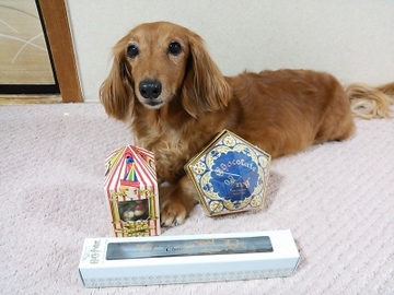 ハリポタ土産2.jpg