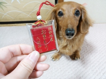 京みやげ2.jpg