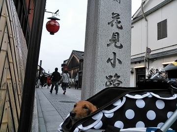 京都遠足②0.jpg