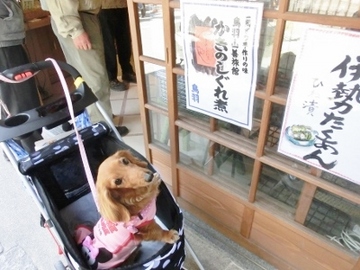 伊勢志摩旅行①7.jpg