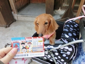 伊勢志摩旅行①9.jpg