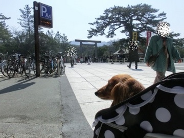 伊勢志摩旅行④5.jpg