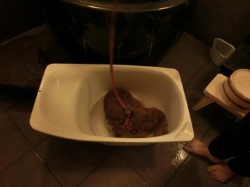伊勢志摩旅行朝食4.jpg