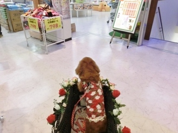 初1.jpg