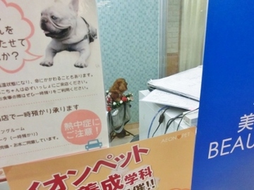 初9.jpg
