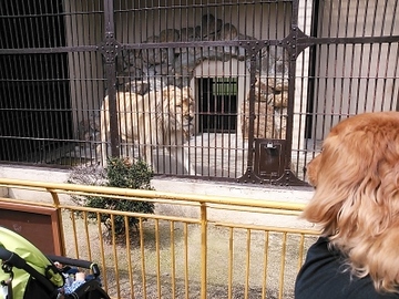 動物園10.jpg