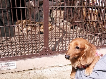 動物園11.jpg