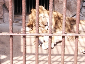 動物園12.jpg