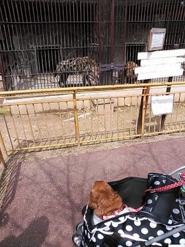 動物園13.jpg