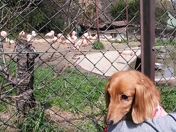 動物園14.jpg