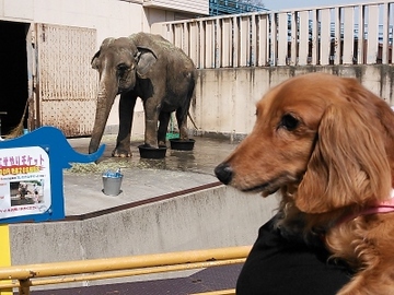 動物園3.jpg
