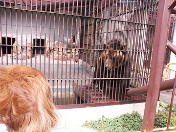 動物園5.jpg