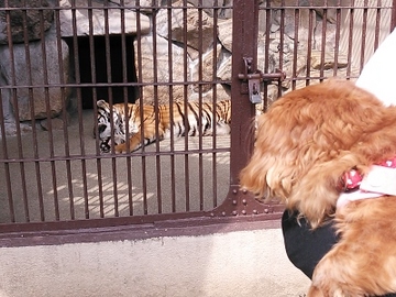 動物園6.jpg