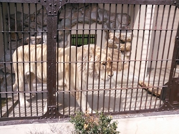 動物園8.jpg