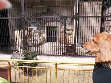 動物園9.jpg