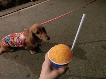 城灯り7.jpg