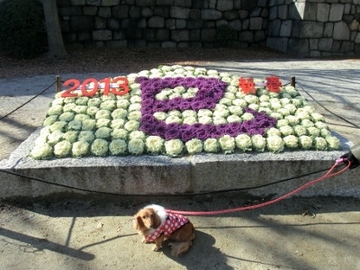 大晦日2.jpg