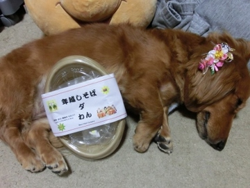 大晦日3.jpg