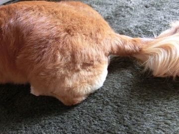 抹茶ムース3.jpg