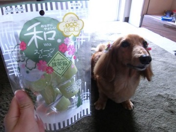 抹茶ムース4.jpg