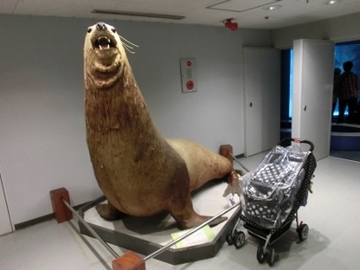 朝食&水族館11.jpg