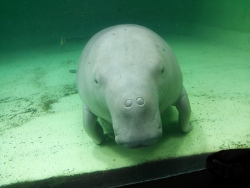 朝食&水族館14.jpg