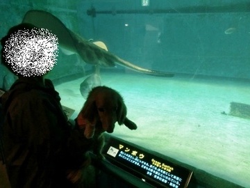 朝食&水族館9.jpg