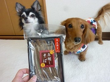 色々納め8.jpg