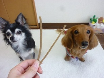 色々納め9.jpg